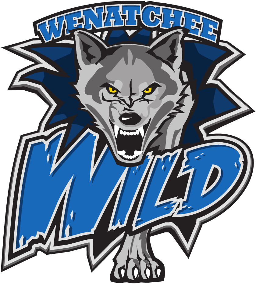 Wenatchee Wild 2015-Pres Primary Logo iron on transfers for T-shirts